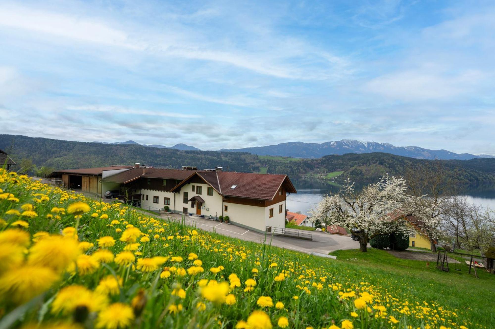 Fruehstueckspension Goetzfried-Hof Millstatt Exteriér fotografie